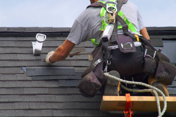 Best Roof Insulation Installation  in Cordova, AK