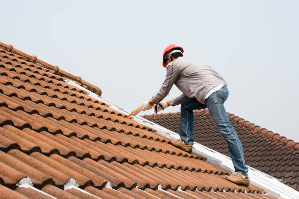Best Roof Inspection  in Cordova, AK
